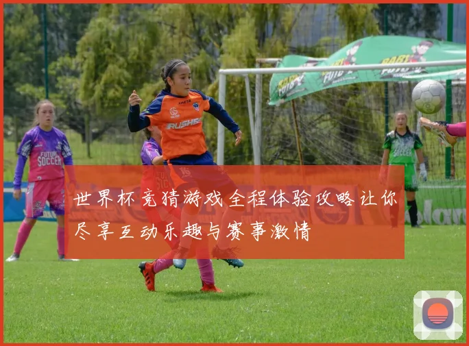 世界杯竞猜游戏全程体验攻略让你尽享互动乐趣与赛事激情